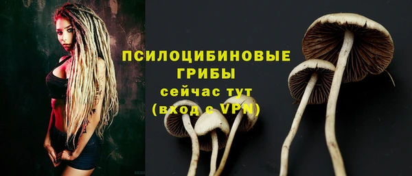 а пвп мука Инсар