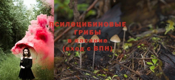 мяу мяу мука Алексин