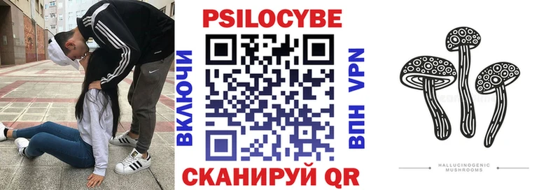 darknet телеграм  магазин    ОМГ ОМГ   Карабулак  Псилоцибиновые грибы Psilocybe 